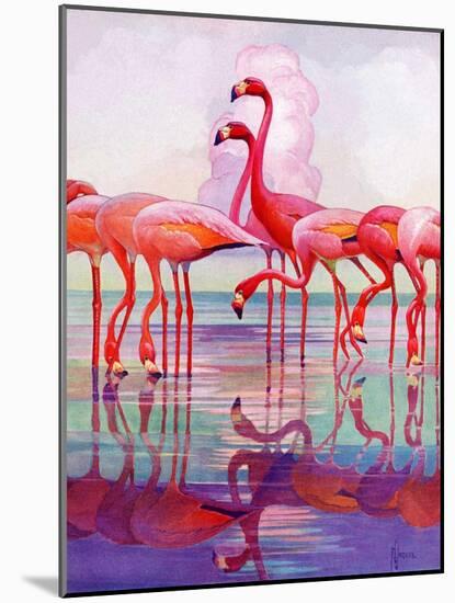 "Pink Flamingos,"January 29, 1938-Francis Lee Jaques-Mounted Giclee Print