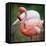 Pink Flamingos-l i g h t p o e t-Framed Stretched Canvas