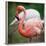 Pink Flamingos-l i g h t p o e t-Framed Photographic Print