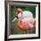 Pink Flamingos-l i g h t p o e t-Framed Photographic Print