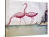 Pink Flamingos-null-Stretched Canvas