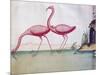 Pink Flamingos-null-Mounted Giclee Print