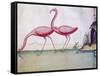 Pink Flamingos-null-Framed Stretched Canvas