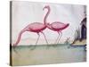 Pink Flamingos-null-Stretched Canvas