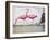 Pink Flamingos-null-Framed Giclee Print