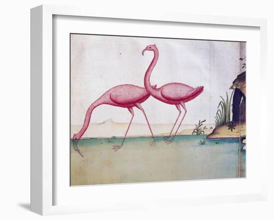 Pink Flamingos-null-Framed Giclee Print