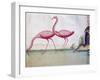 Pink Flamingos-null-Framed Giclee Print