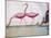 Pink Flamingos-null-Mounted Giclee Print