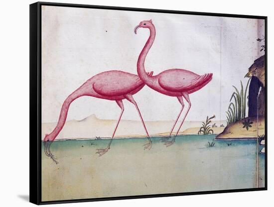 Pink Flamingos-null-Framed Stretched Canvas