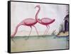 Pink Flamingos-null-Framed Stretched Canvas