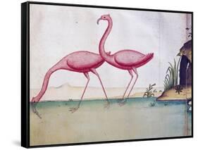 Pink Flamingos-null-Framed Stretched Canvas