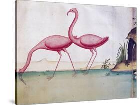 Pink Flamingos-null-Stretched Canvas