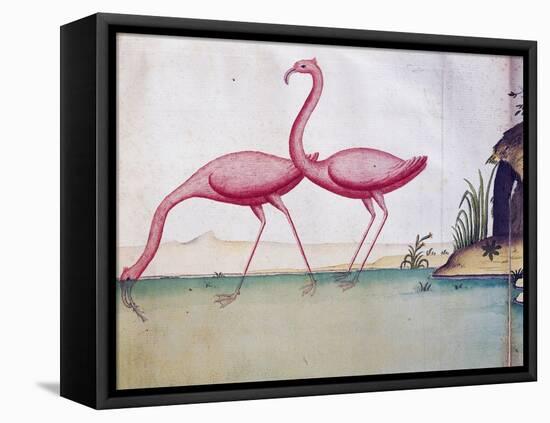 Pink Flamingos-null-Framed Stretched Canvas