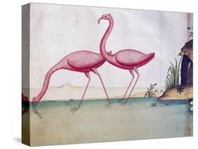 Pink Flamingos-null-Stretched Canvas