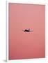 Pink Flight-Design Fabrikken-Framed Photographic Print