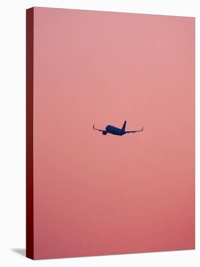 Pink Flight-Design Fabrikken-Stretched Canvas