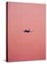 Pink Flight-Design Fabrikken-Stretched Canvas