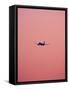 Pink Flight-Design Fabrikken-Framed Stretched Canvas