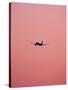 Pink Flight-Design Fabrikken-Stretched Canvas