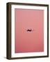 Pink Flight-Design Fabrikken-Framed Photographic Print