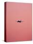 Pink Flight-Design Fabrikken-Stretched Canvas