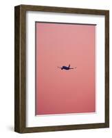 Pink Flight-Design Fabrikken-Framed Photographic Print