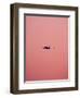 Pink Flight-Design Fabrikken-Framed Photographic Print