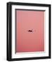 Pink Flight-Design Fabrikken-Framed Photographic Print