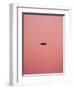 Pink Flight-Design Fabrikken-Framed Photographic Print