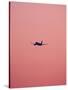 Pink Flight-Design Fabrikken-Stretched Canvas