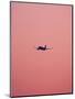 Pink Flight-Design Fabrikken-Mounted Premium Photographic Print