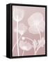 Pink Flora 3-Albert Koetsier-Framed Stretched Canvas