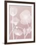 Pink Flora 3-Albert Koetsier-Framed Art Print