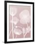 Pink Flora 3-Albert Koetsier-Framed Art Print