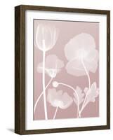 Pink Flora 3-Albert Koetsier-Framed Art Print