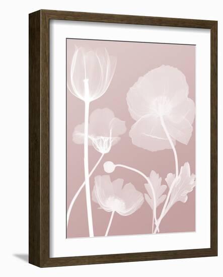 Pink Flora 3-Albert Koetsier-Framed Art Print