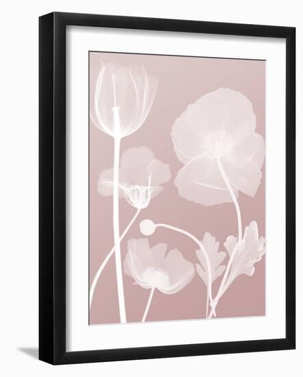 Pink Flora 3-Albert Koetsier-Framed Art Print