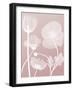 Pink Flora 3-Albert Koetsier-Framed Art Print