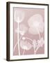 Pink Flora 3-Albert Koetsier-Framed Premium Giclee Print