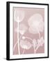 Pink Flora 3-Albert Koetsier-Framed Premium Giclee Print