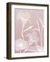 Pink Flora 4-Albert Koetsier-Framed Art Print