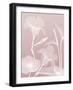 Pink Flora 4-Albert Koetsier-Framed Art Print