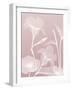 Pink Flora 4-Albert Koetsier-Framed Art Print