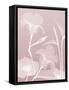 Pink Flora 4-Albert Koetsier-Framed Stretched Canvas