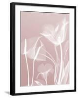 Pink Flora 5-Albert Koetsier-Framed Art Print