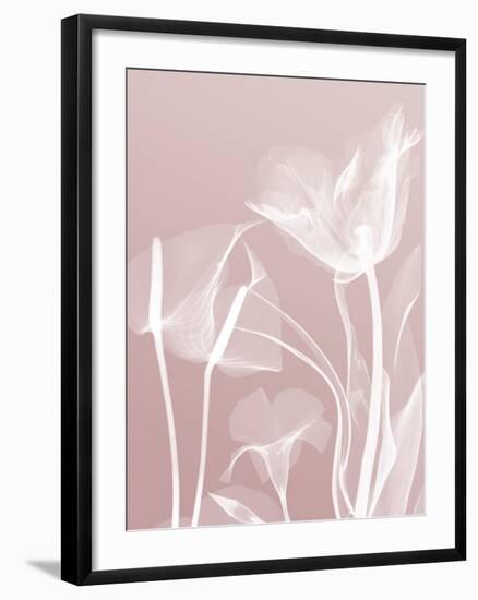 Pink Flora 5-Albert Koetsier-Framed Art Print