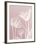 Pink Flora 5-Albert Koetsier-Framed Art Print