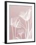 Pink Flora 5-Albert Koetsier-Framed Art Print