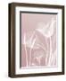 Pink Flora 5-Albert Koetsier-Framed Premium Giclee Print