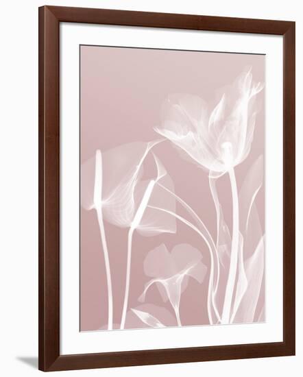 Pink Flora 5-Albert Koetsier-Framed Premium Giclee Print